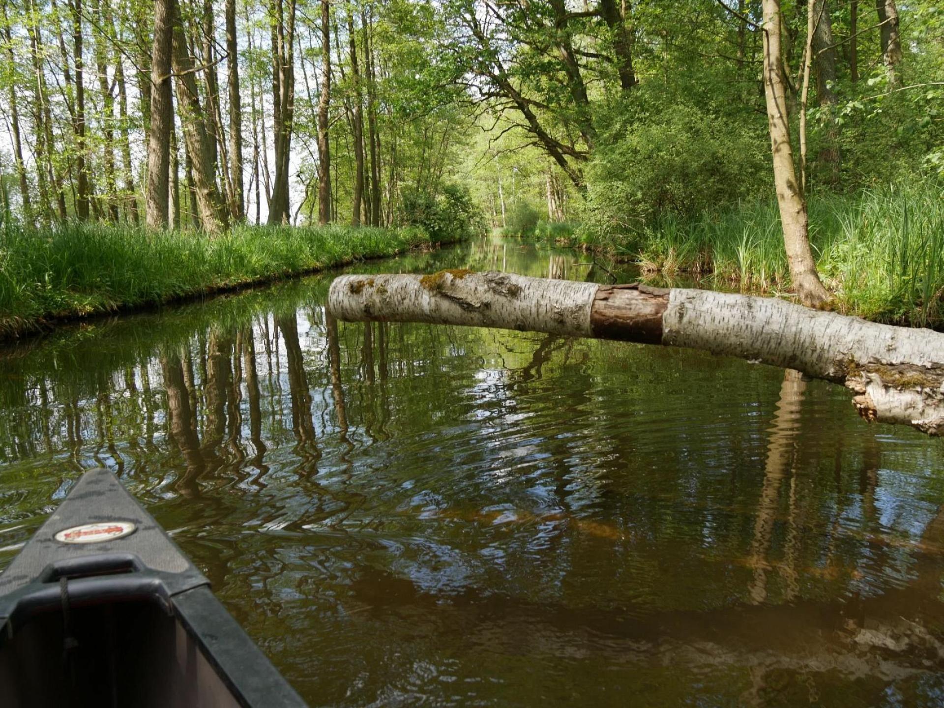 Wohnung 2 / EG ebenerdig Foto 23